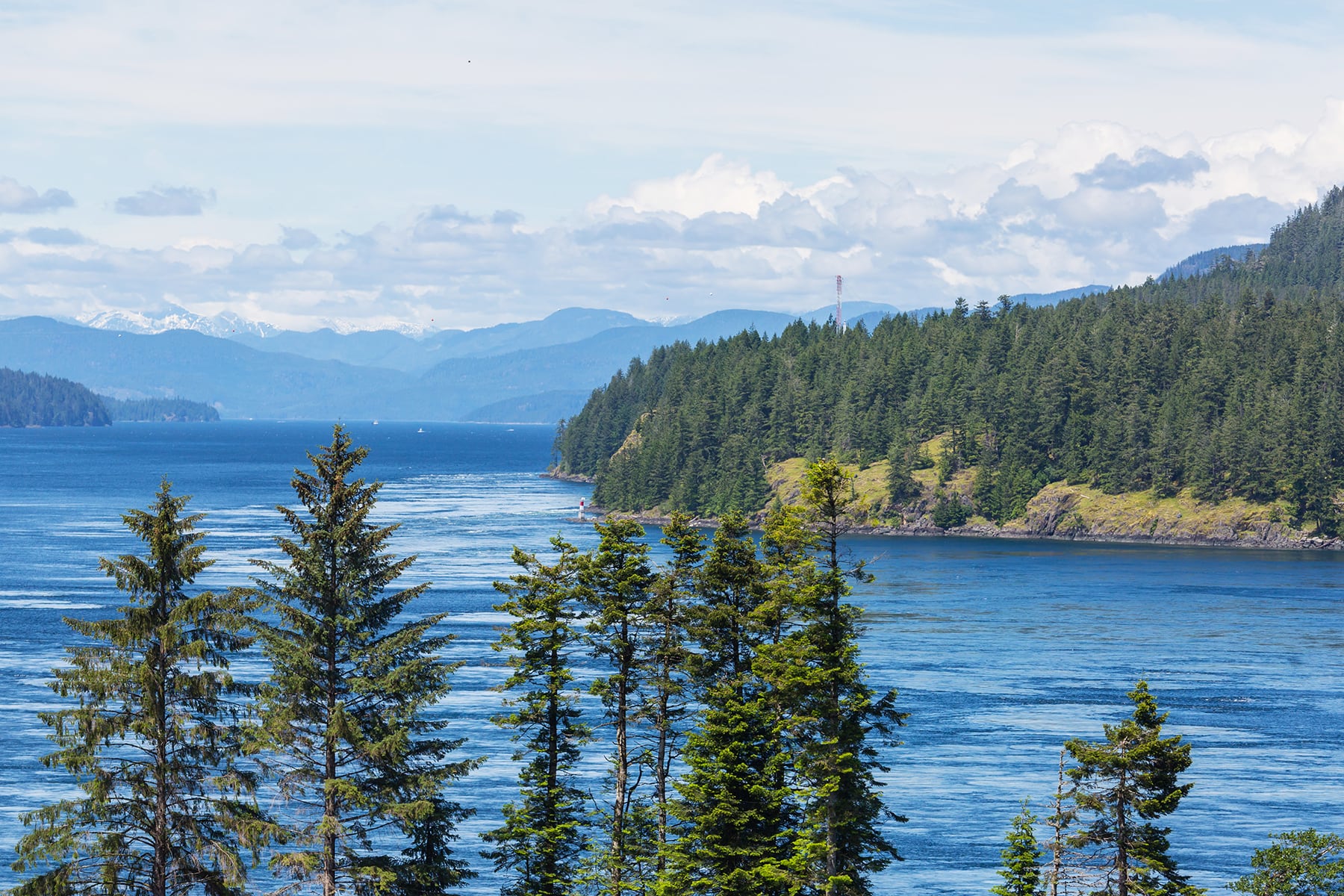 View of the ocean off the coast of Vancouver Island, Canada
